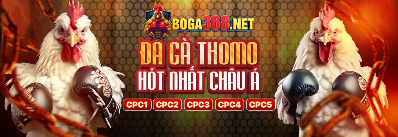 Đội ngũ 98vin đăng nhập